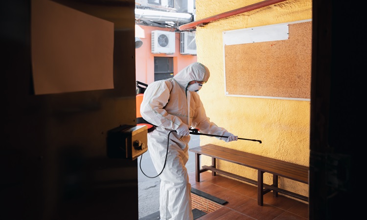 Termite Control